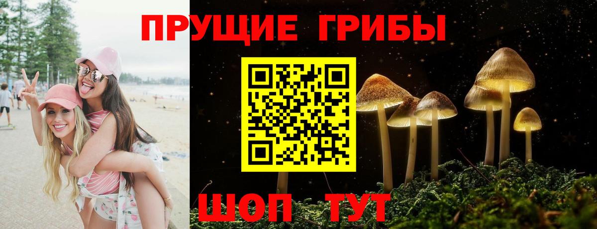 Псилоцибиновые грибы Cubensis Майский